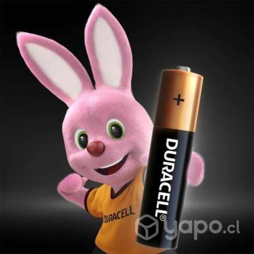 Duracell Pilas Alcalinas AAA x 2
