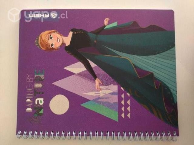 Cuadernos universitarios frozen