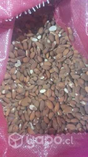 Almendras partidas