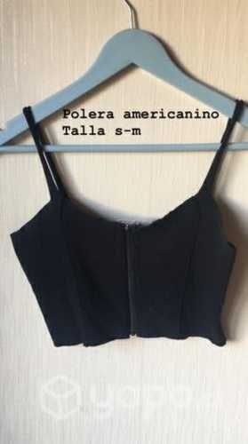 Peto americanino