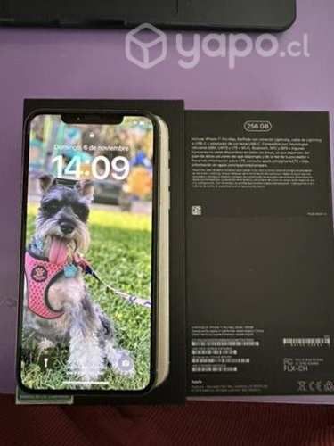 Iphone 11 Pro Max 256 gb