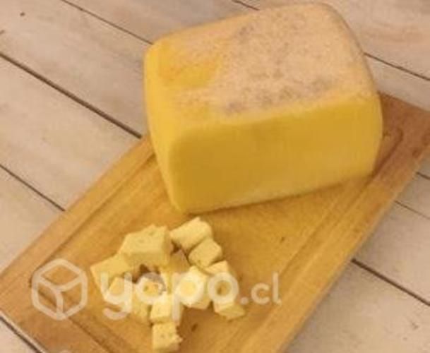 Queso mantecoso de campo para negocio