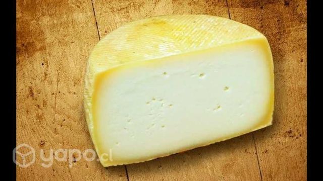 Queso mantecoso de campo para negocio