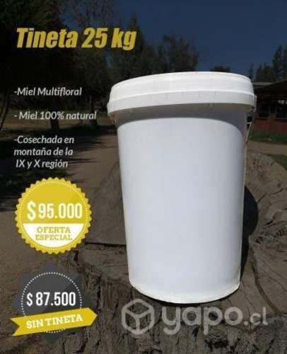 Miel de ulmo y multiflora