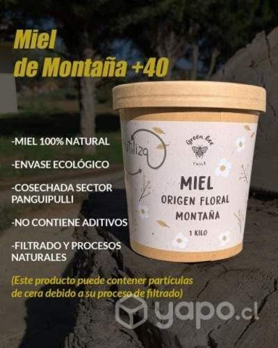 Miel de ulmo y multiflora