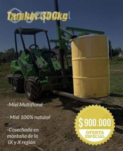 Miel de ulmo y multiflora