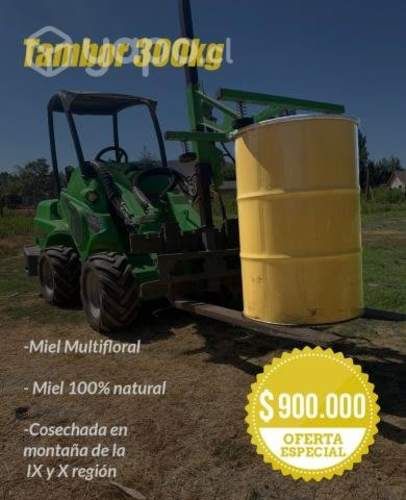 Miel de ulmo y multiflora