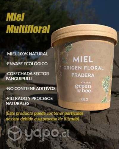 Miel de ulmo y multiflora