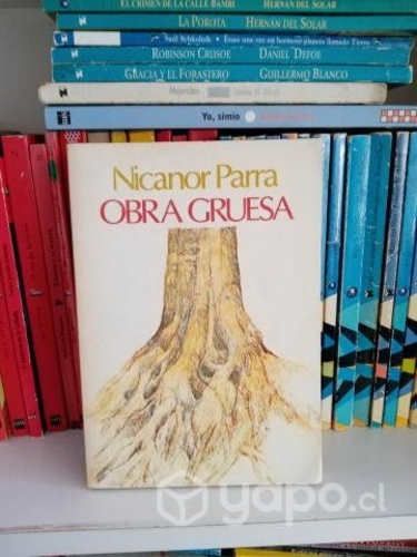 Obra Gruesa