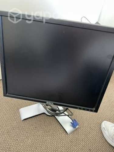 Monitor Dell 24 pulgadas