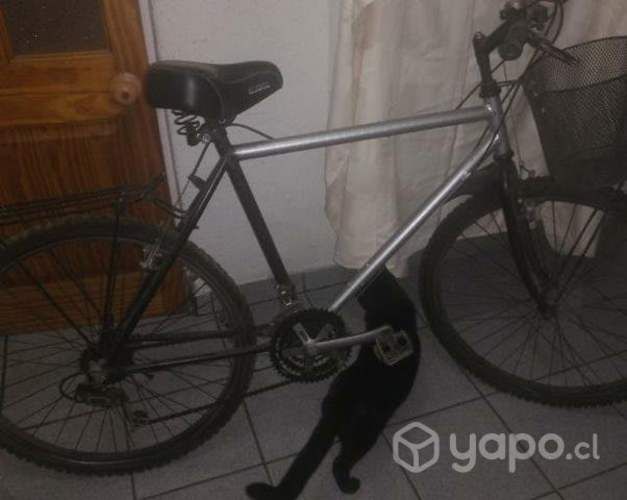 Bicileta Vargas aro29 todo terreno