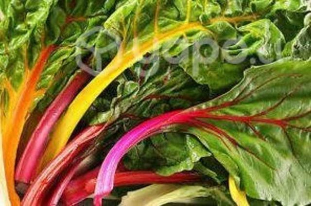 18 Sobres de Semillas de Hortalizas Bella Huerta