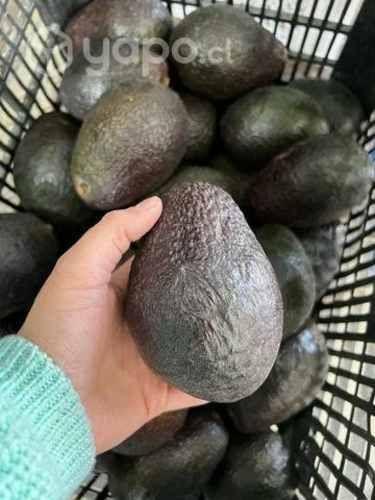 Palta hass