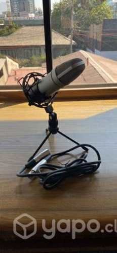 Tascam TM-80 Microfono De Condensador