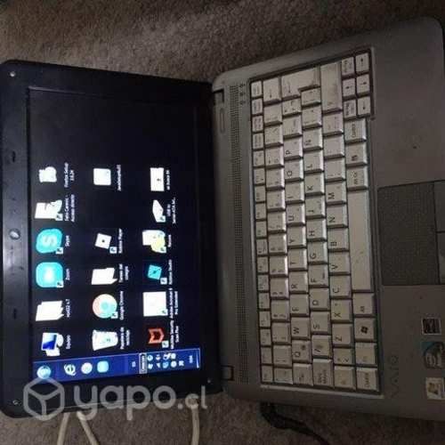 Netbook Sony Vaio con detalle