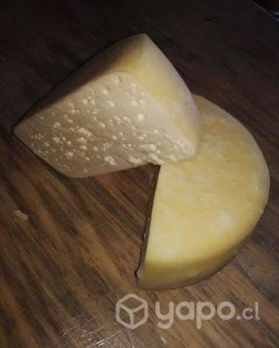 Queso de campo mantecoso formato de 1/2 kilo