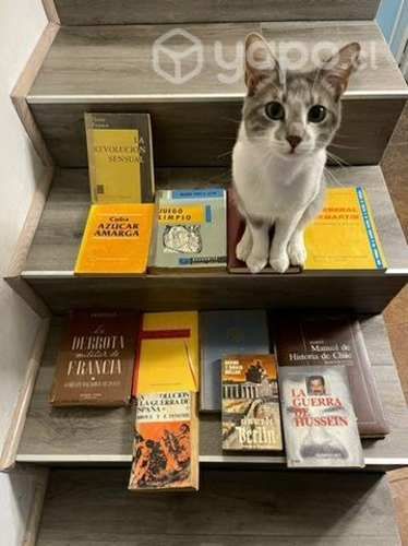 Lote 13 pack Libros Historia Universal y Chile