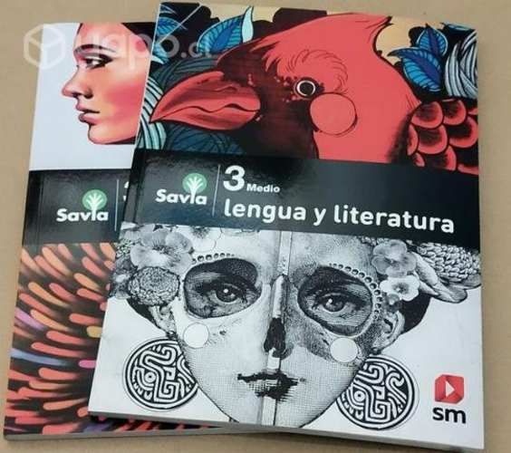 Libros SM 3 medio