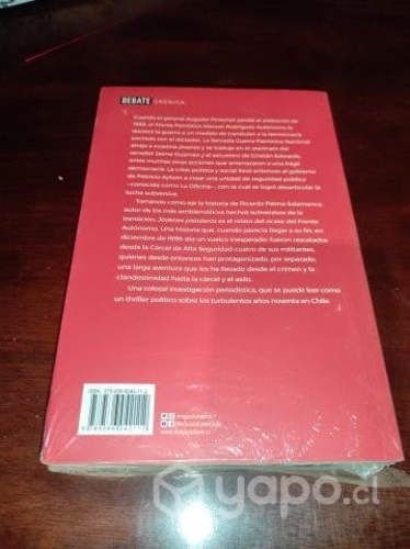 Jóvenes Pistoleros. Violencia Política en la Trans