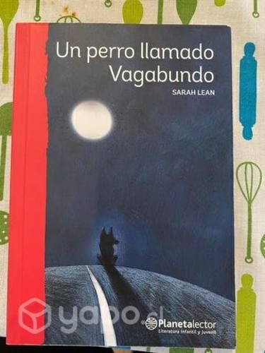 Libro Un perro llamado Vagabundo