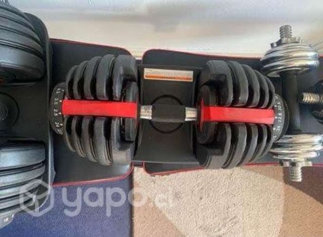 Press banca y mancuernas ajustables