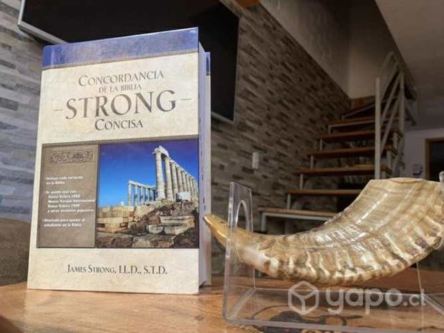 Nueva concordancia de la biblia Strong concisa