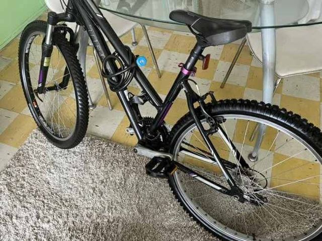 Bici trek buen estado