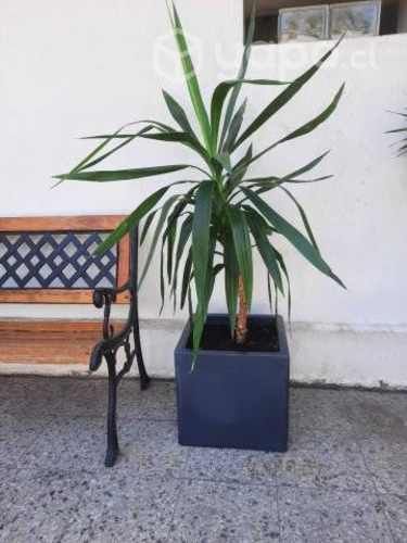 Macetero grande cuadrado 40x40x40 cms