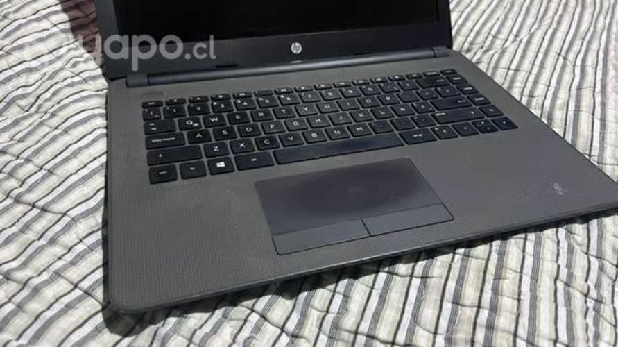 Notebook 240 g6, i3-6006u, 4GB, 1tb hhd