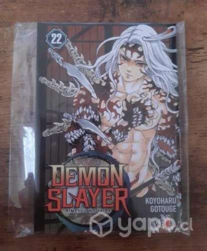Manga Demon Slayer Kimetsu no Yaiba 22