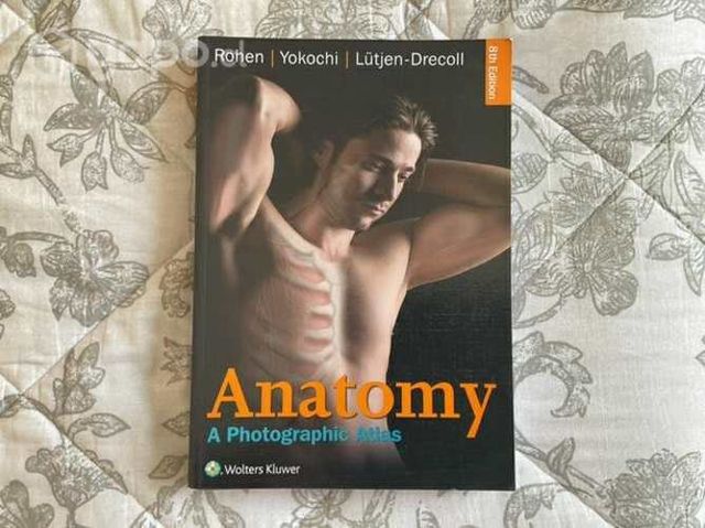 Atlas de Anatomía Yocochi