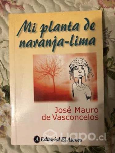 Mi planta de naranja lima