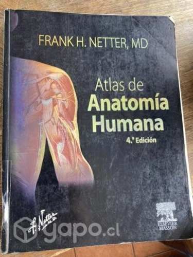 Libros de terapia ocupacional