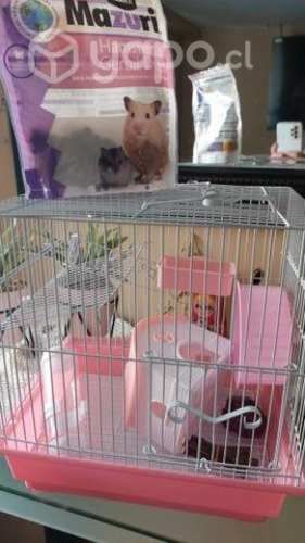 Jaula de hamters