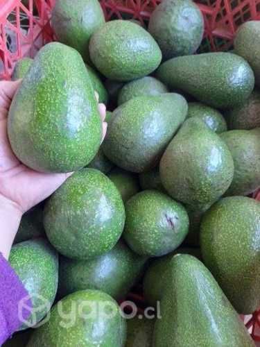 Paltas edranol, de primera, verdes y maduras