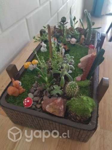 Terrarios feng shui de la abundancia