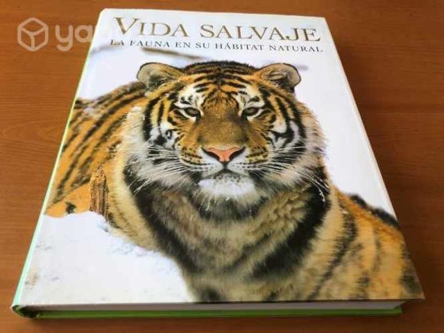 Libros practicamente como nuevos