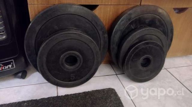 Discos olímpicos engomados 15 kg