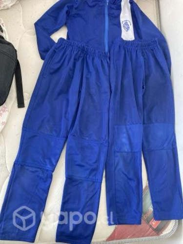 Buzo colegio divina pastora