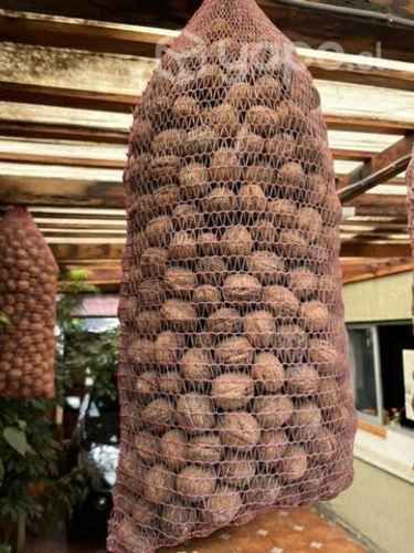 Nueces temporada 2022