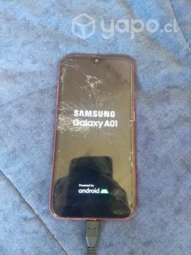 Computadora y celular a01