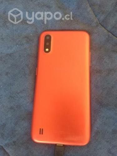 Computadora y celular a01