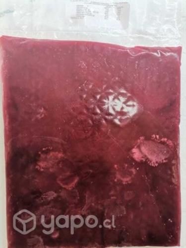 Pulpas Fruta Congeladas