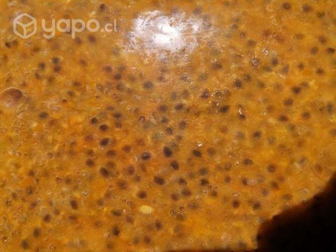 Pulpas Fruta Congeladas