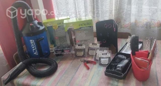 Proyecto de peluquería canina