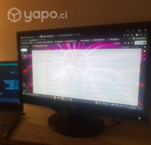 Monitor de 18,5 HP 19ka