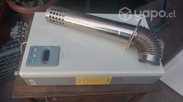 Calefón 10 litros winter leblon