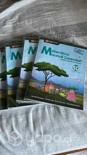 Libro matemáticas 5 y 6 básico