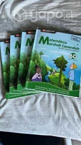 Libro matemáticas 5 y 6 básico