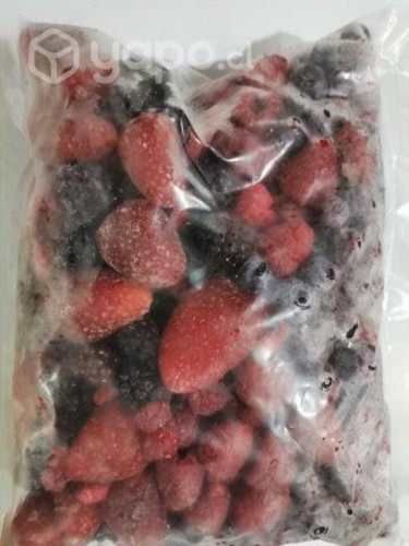 Fruta Congelada